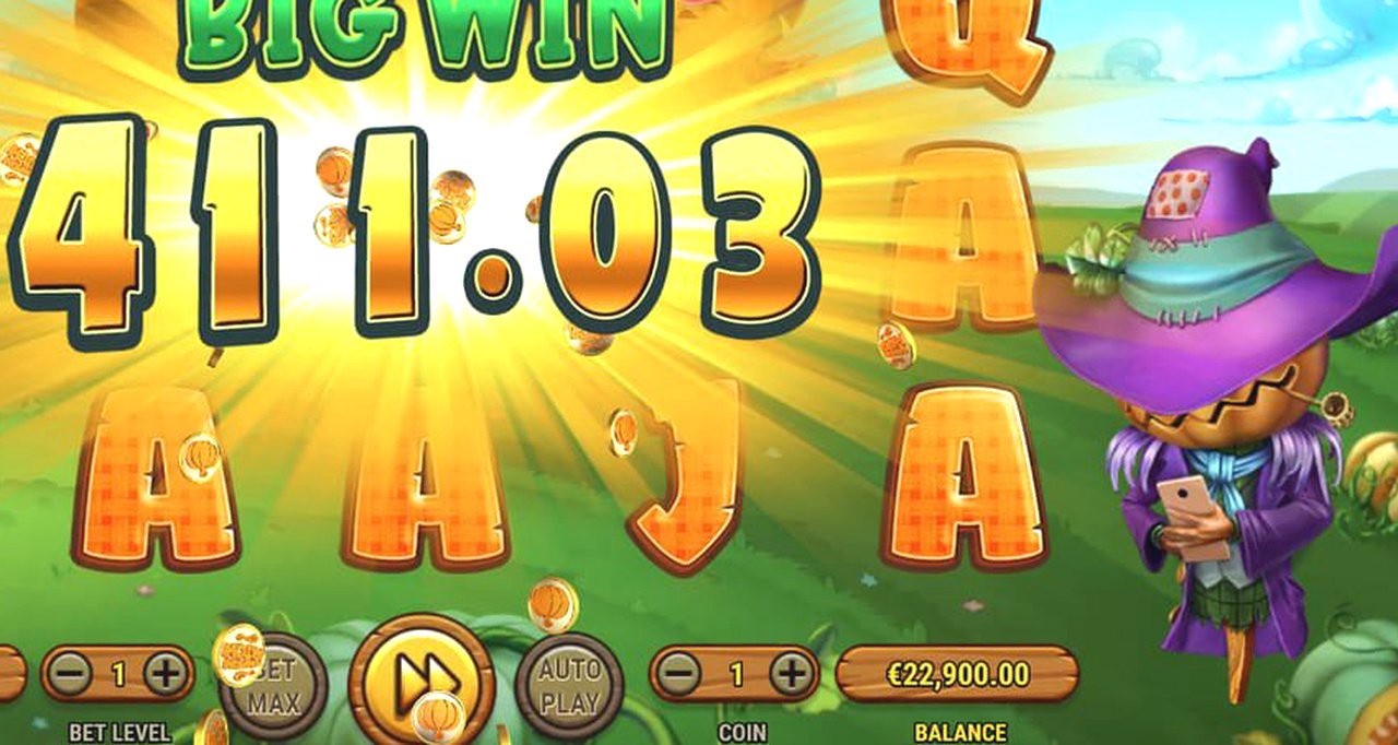 Pumpkin Patch · Tampilan Aplikasi ZAVONZO
